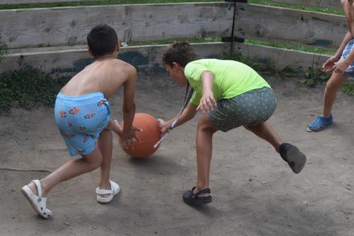 DSC 0107 (1) (1) (1)